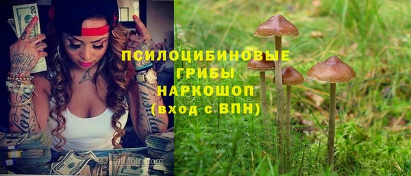 экстази Переславль-Залесский