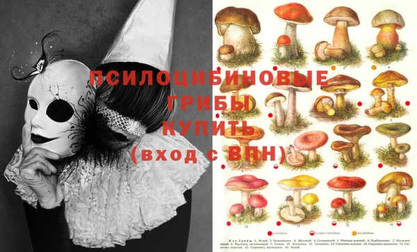 MDMA Premium VHQ Пересвет