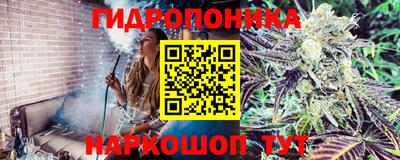 марки nbome Гатчина