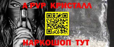 спайс Гагарин