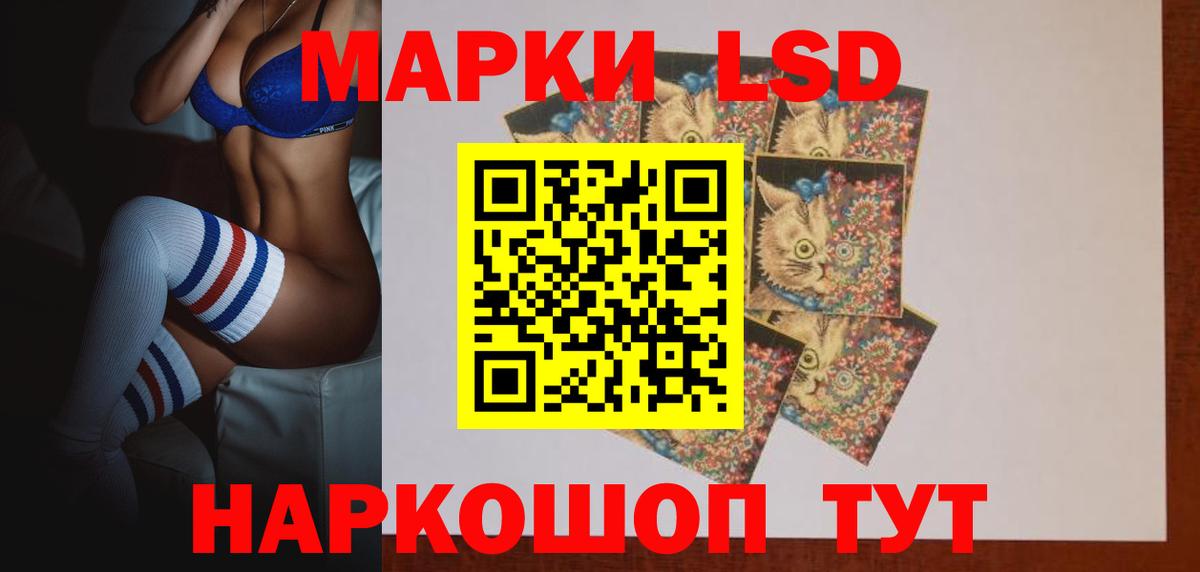 LSD-25 экстази кислота  Вход с VPN  LSD-25 экстази кислота  Алейск 