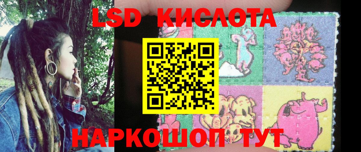 Алейск  Наркотические марки 1500мкг  Вход с VPN  Наркотические марки 1500мкг 