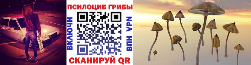кракен как войти  Алейск  Галлюциногенные грибы MAGIC MUSHROOMS 