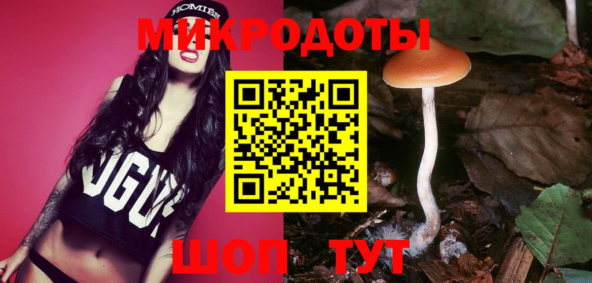 Галлюциногенные грибы GOLDEN TEACHER  цены   Галлюциногенные грибы Psilocybe  Алейск 