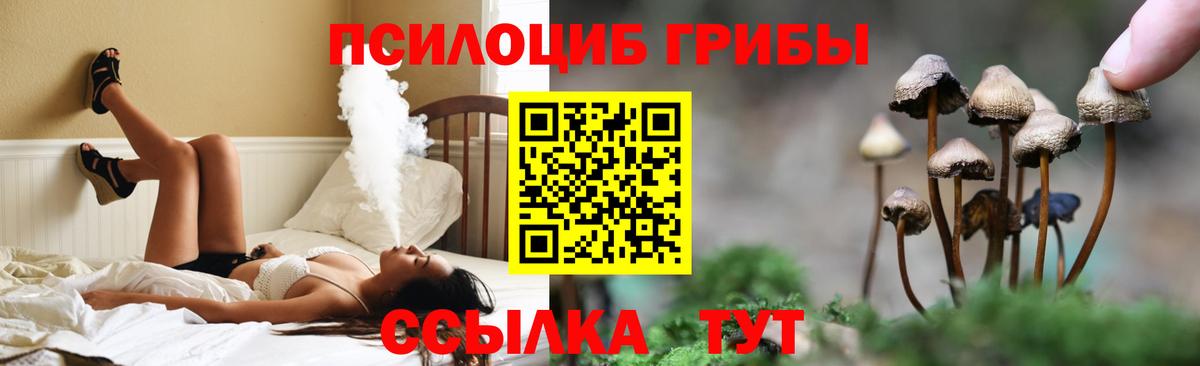 Псилоцибиновые грибы прущие грибы Алейск